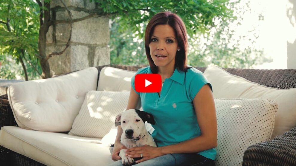 Video Perro Nutro Grain Free Tamara Dama Bob Moka Eva Casado