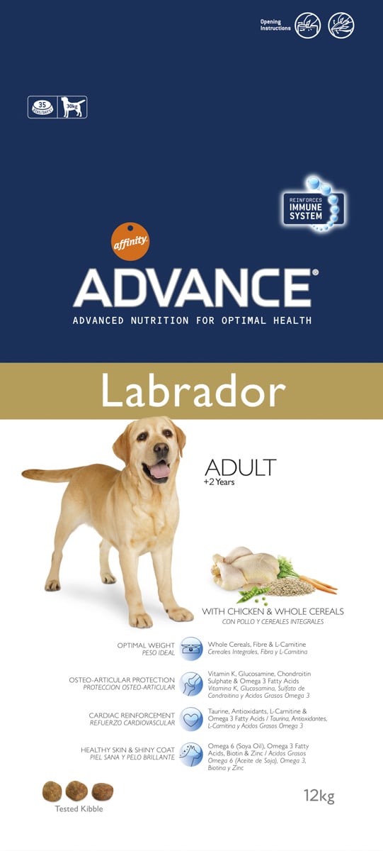 fotografia animales perro labrador packaging advance eva casado