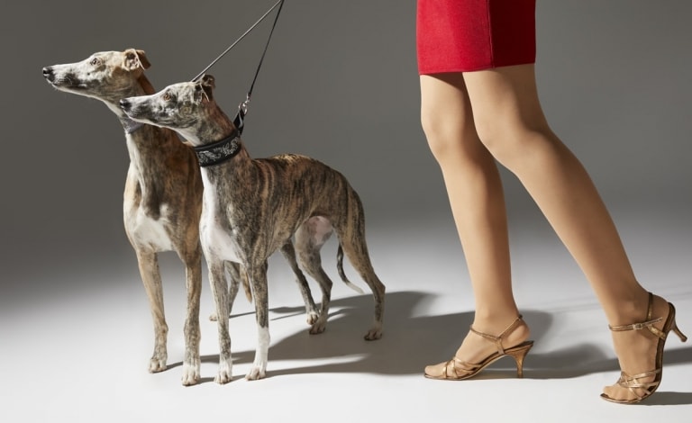 fotografia perros con mujer fashion moda eva casado
