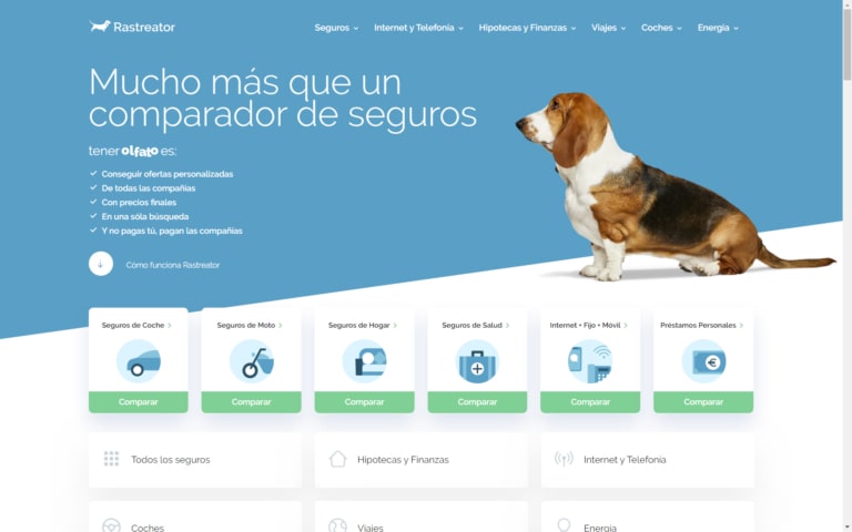 Fotografía Perros Publicidad para Rastreator Web con Basset Hound