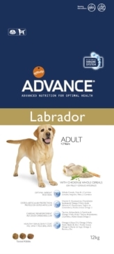 fotografia animales perro labrador packaging advance eva casado