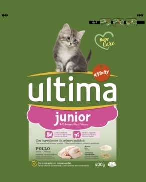 fotografia gato bosque noruega packaging ultima eva casado