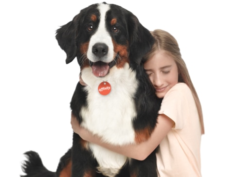 fotografia perros boyero berna nina publicidad affinity petcare eva casado