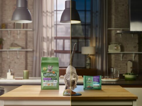 fotografia publicidad ultima gato eva casado